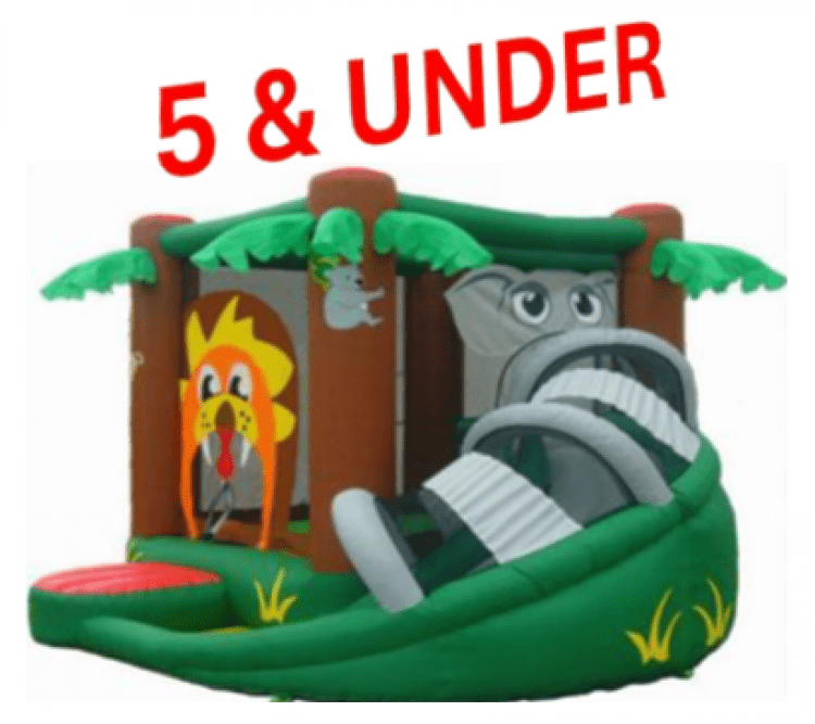 #13 - Animal Jr. Bouncy with Slide