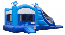 new dolphin removebg preview 1698198043 #4 - Dolphin Bouncy Combo with Slide